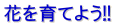 花を育てよう!!