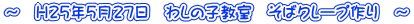 `@H25N527@킵̎q@΃N[v@`