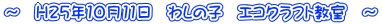 `@H25N1011@킵̎q@GRNtg@`