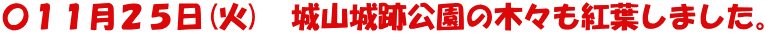 〇１１月２５日(火)　城山城跡公園の木々も紅葉しました。