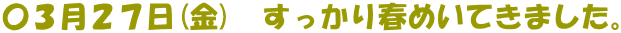 〇３月２７日(金)　すっかり春めいてきました。