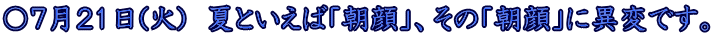 〇７月２１日(火)　夏といえば「朝顔」、その「朝顔」に異変です。