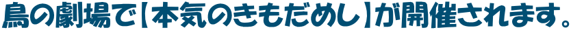 鳥の劇場で【本気のきもだめし】が開催されます。